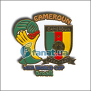  "WORLD CUP 2014: Cameroun"